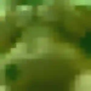 Profil de Solange à Poussan (38 ans) - rencontre cougar discret