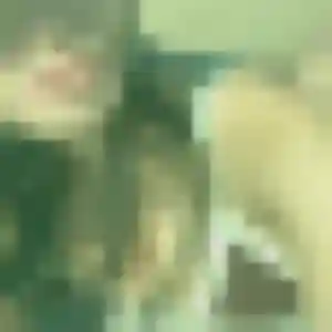 Profil de Tamara à Quesnoy-sur-Deûle (28 ans) - rencontre cougar sans inscription