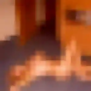 Photo privée de Emilie, 33 ans à Quimper - rencontre sans lendemain