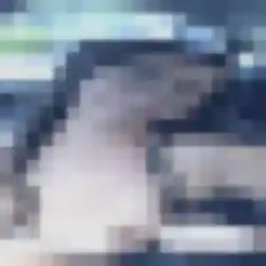 Charmante Typhaine, 26 ans à Raon-l'Étape - voir sa photo