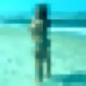 Profil de Apolline à Saint-Amand-les-Eaux (37 ans) - rencontre cougar gratuit