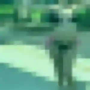 Lisette, femme de 42 ans veut rencontre cougar à Saint-Berthevin