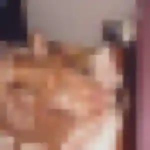 Berenice, femme de 45 ans cherche rencontre cougar à Saint-Jean-Bonnefonds