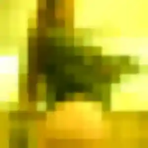 Monique, fille de 32 ans cherche rencontre cougar à Saint-Pierre-d'Oléron