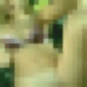 Edith, 23 ans, connectée à Saint-Pierre-du-Mont pour une rencontre coquine