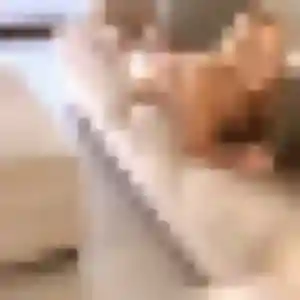 Raphaelle, 27 ans, connectée à Sainte-Luce pour un rencontre cougar