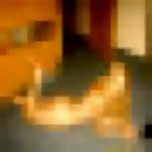 Sophie, 41 ans, dispo pour rencontre cougar à Sainte-Pazanne