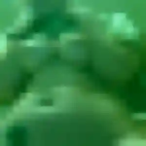 Angelique, 44 ans, en ligne à Savenay pour une rencontre coquine