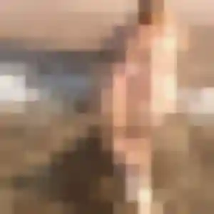 Tamara (29 ans) à Schiltigheim propose une rencontre rapidement