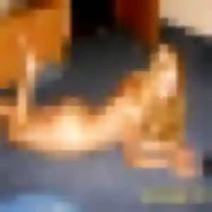 Tessa, 25 ans, cherche un rencontre cougar à Sciez