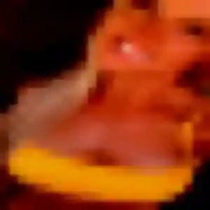 Photo perso de Mila, 36 ans à Seichamps - rencontre coquine
