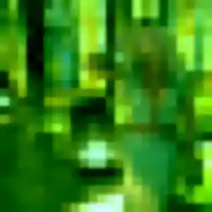 Marine, 34 ans, connectée à Sélestat pour une rencontre coquine