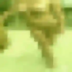 Photo de Magalie à Seysses (45 ans) - rencontre cougar sans inscription