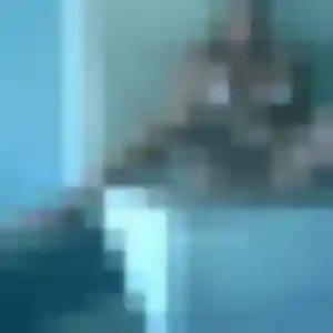 Geraldine, 41 ans, cherche un rencontre cougar à Solliès-Toucas