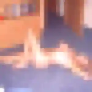 Diane, fille de 37 ans veut rencontre cougar à Tain-l'Hermitage