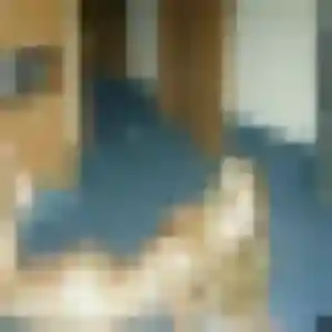 Charmante Perrine, 39 ans à Thorigné-Fouillard - voir sa photo