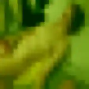 Alice, 36 ans, dispo pour rencontre cougar à Vaulx-en-Velin