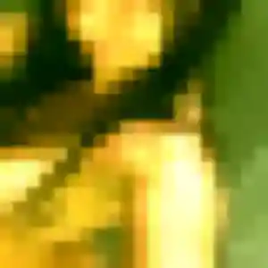 Alicia, 29 ans, connectée à Vic-le-Comte pour une rencontre coquine