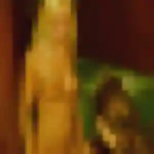 Berenice, 21 ans, connectée à Vienne pour un rencontre cougar