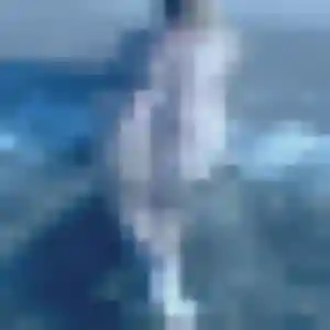 Laetitia, 19 ans, dispo pour rencontre cougar à Villeparisis