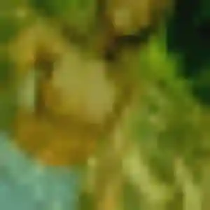 Photo de Ines à Villers-le-Lac (23 ans) - rencontre cougar sans inscription