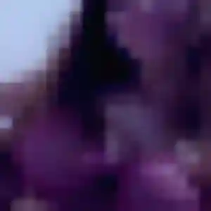 Fleur, fille de 31 ans veut rencontre cougar à Vire Normandie