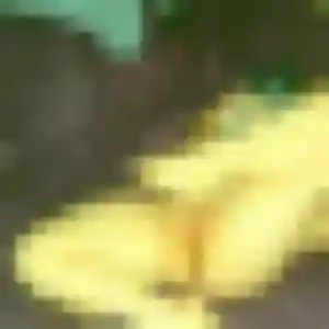 Dorothee, 26 ans, connectée à Wavrin pour une rencontre coquine